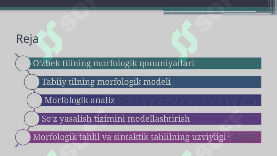 Morfologik tahlilning avtomatik tizimi 2