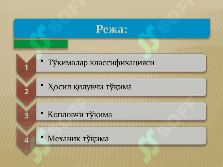 O'simlik to'qimalari 2