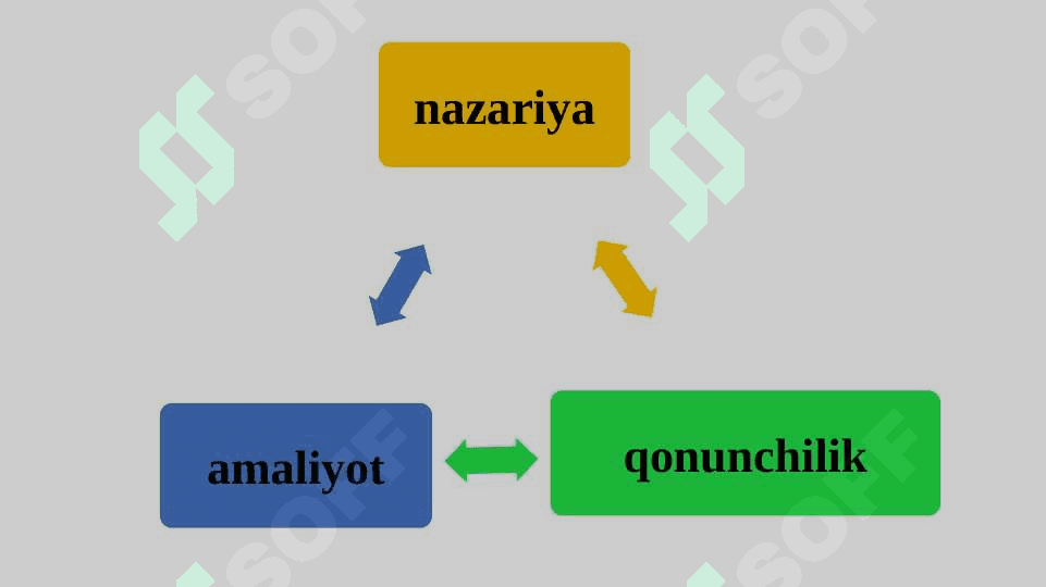 MA'MURIY PROTSEDURALAR 8