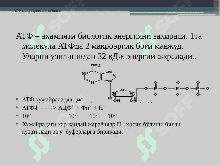 Biologik oksidlanish 4