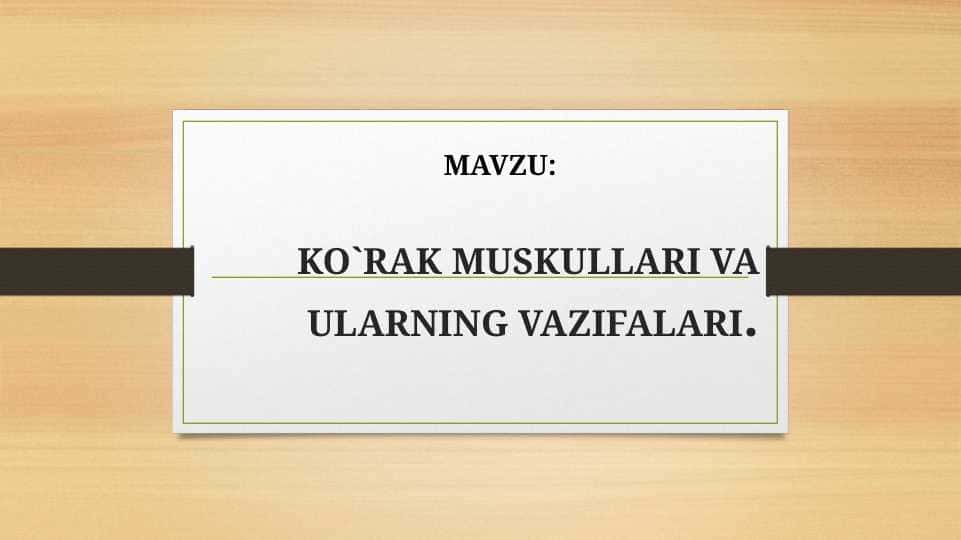 KO`RAK MUSKULLARI VA ULARNING VAZIFALARI.