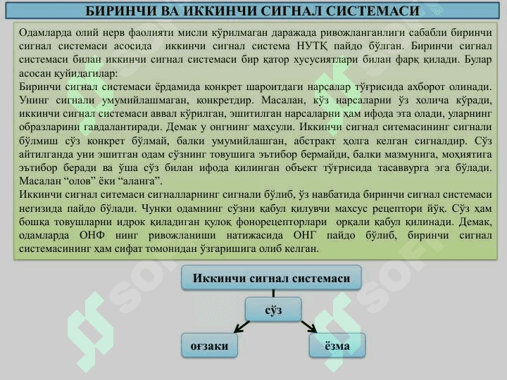 Олий нерв фаолиятининг ѐшга  оид  хусусиятлари 4
