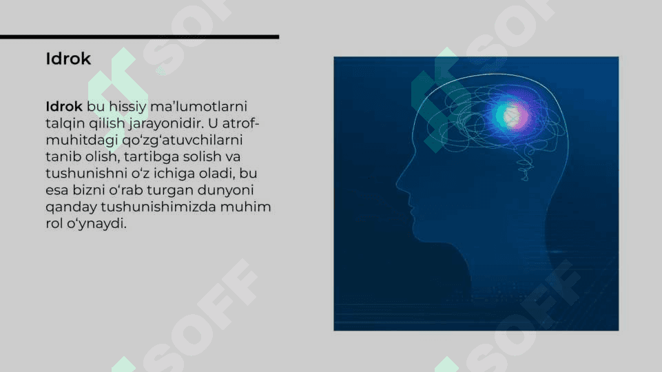 Idrok, tafakkur, nutq va xayol turlari 3