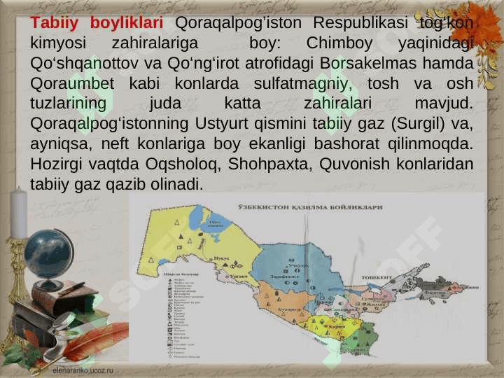 Quyi Amudaryo iqtisodiy rayoni 8