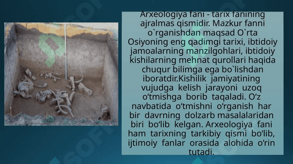 Arxeologik madaniy qatlam 3