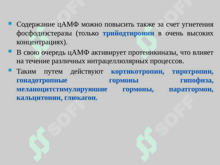 Средства, влияющие на обмен веществ 6