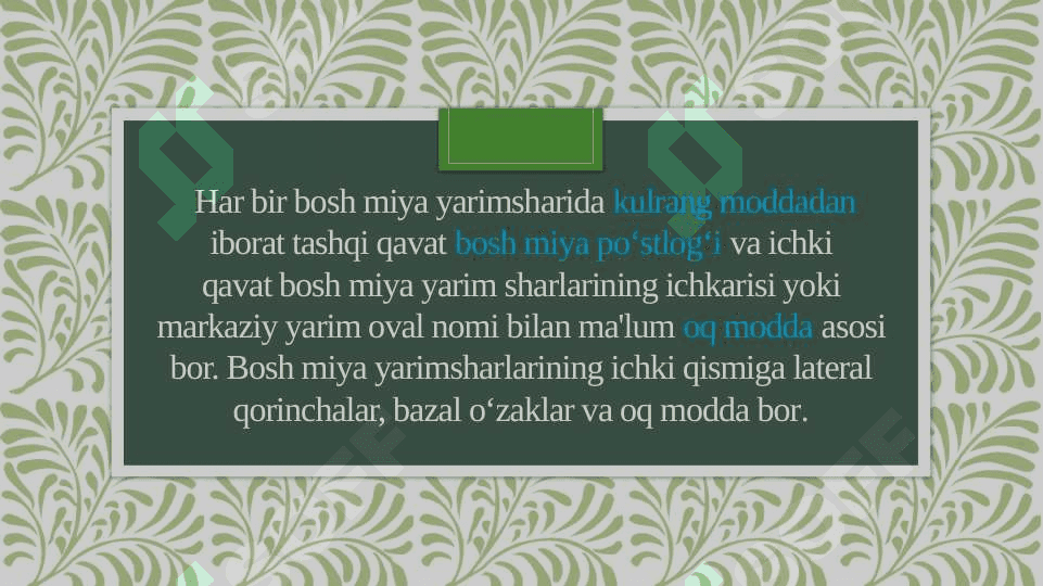 Bosh miya yarimsharlarining anatomiyasi va fiziologiyasi. 2