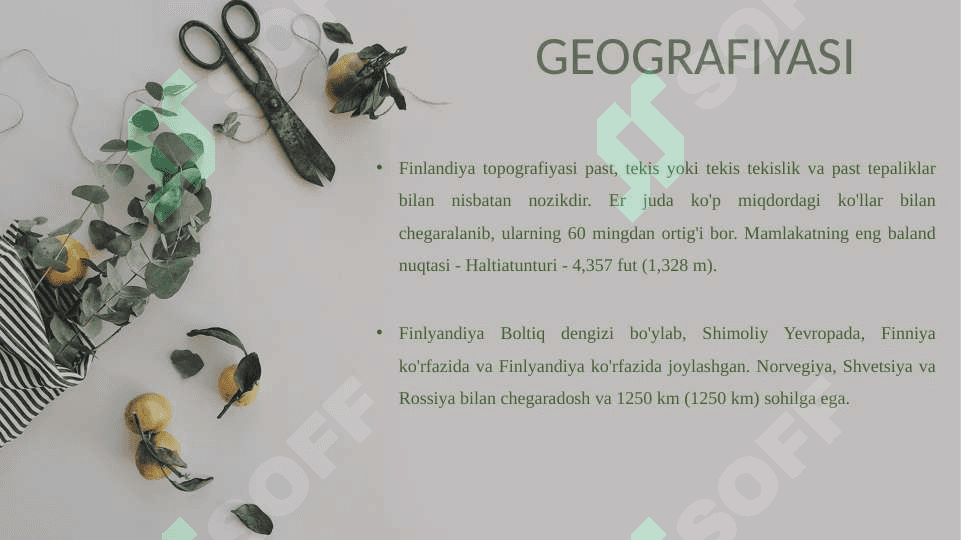 Finlandiya talim tizimi 8