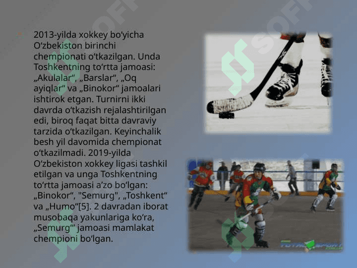 O'zbekistonda xokkey sport turini rivojlanishi 4