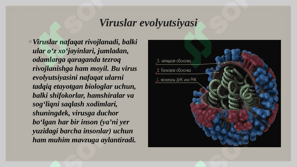 Viruslarning kelib chiqishi va ularning ahamiyati 3