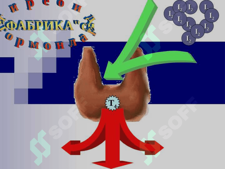 YOD YETISHMOVCHILIGI VA UNING ZARARLIOQIBATLARI 7
