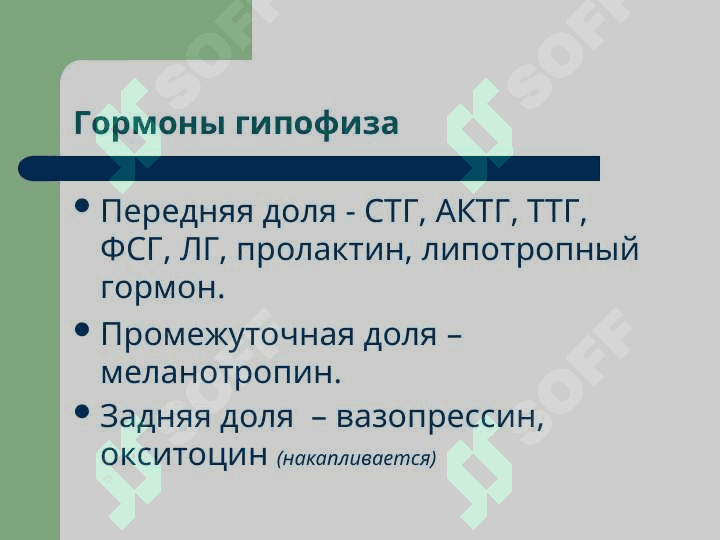 Патофизиология энокринной системы 8