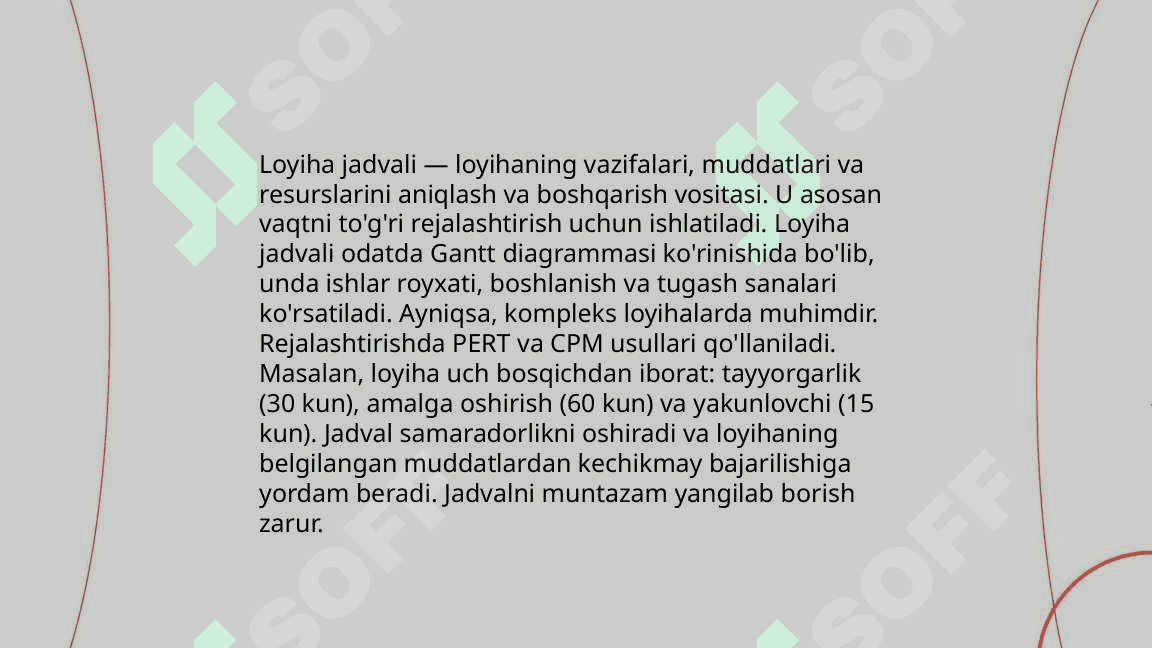 Loyiha va Loyiha tavsifi 8