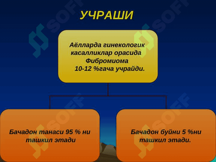 BACHADON MIOMASI 3