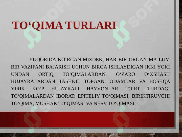 Odam organizmi 6
