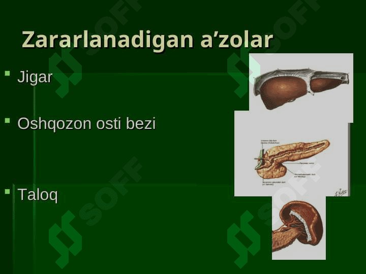 QORIN BO’SHLIG’I AZOLARINING YOPIQ SHIKASTLANISHLARI 3