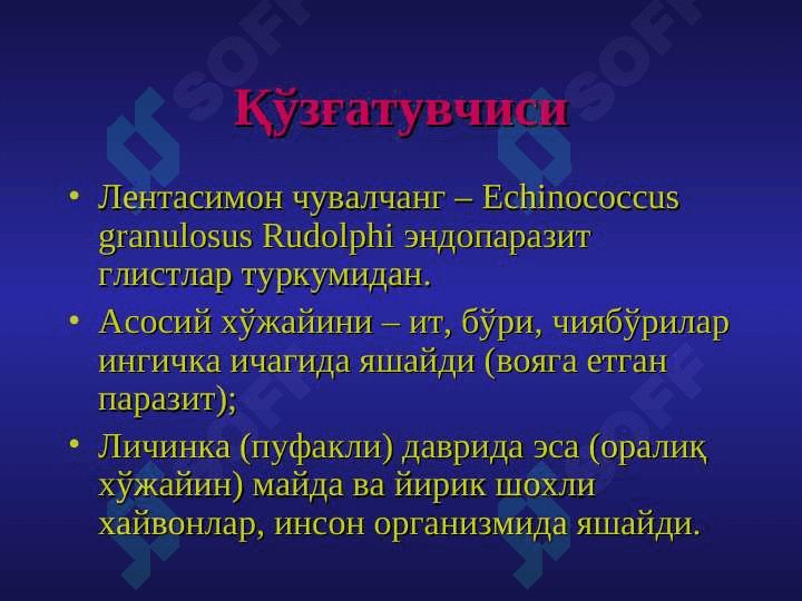 EXINOKOKKOZ. EXINOKOK 3