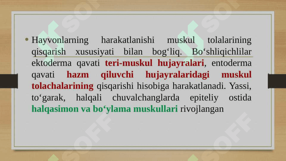 Umurtqasizlarning harakatlanish organlari 3