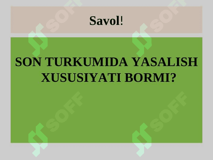 SON SO`Z TURKUMI 2