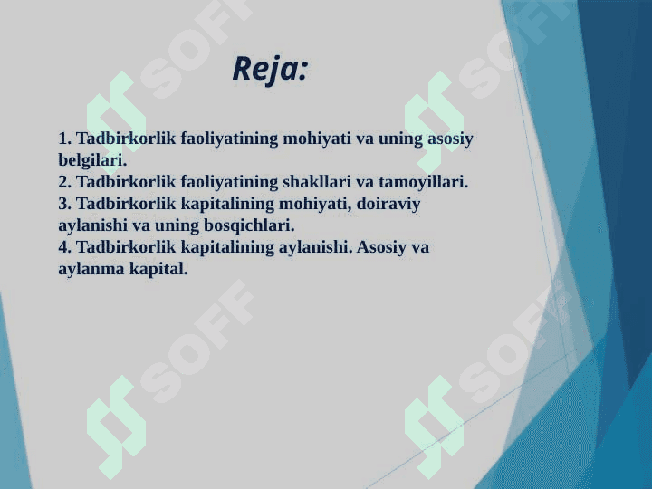 Tadbirkorlik faoliyati va tadbirkorlik kapitali 2
