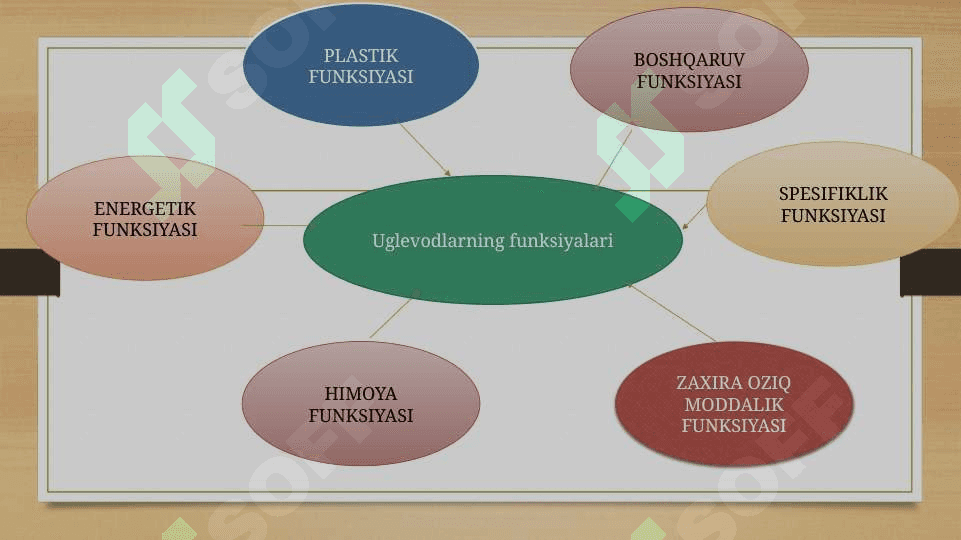 Katabolizmning yo`llari 4