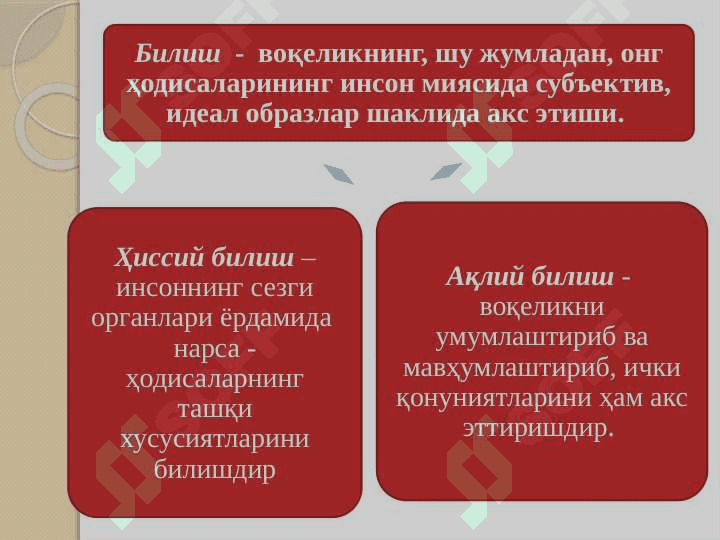 Mantik fani predmeti 6