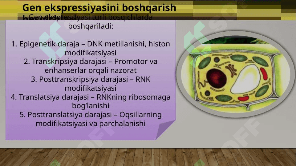 Genlar ta'sirinig boshqarilishi va hujayra differensirofkasi 4