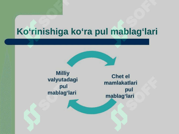 Pul mablag’lari auditi 4