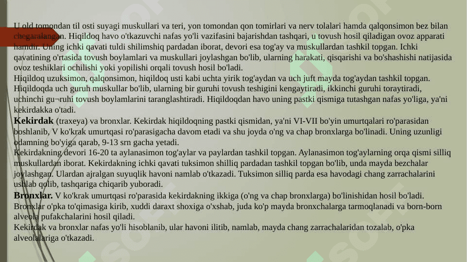 Nafas olish organlari va uning kasalliklari 4