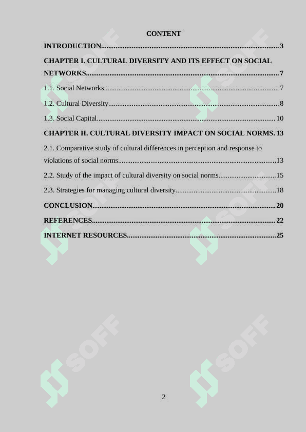 THEME: Cultural Diversity and its effect on social networks 2