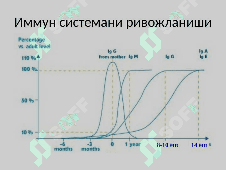 Immunpatologik jarayonlar 2