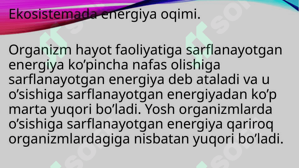 Ekosistemada modda va energiya oqimi 2