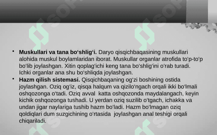Daryo qisqichbaqasining ichki tuzilishi 4
