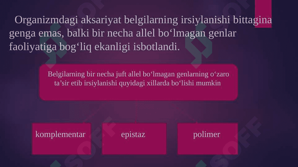 Noallel genlarning o`zaro ta’siri 4
