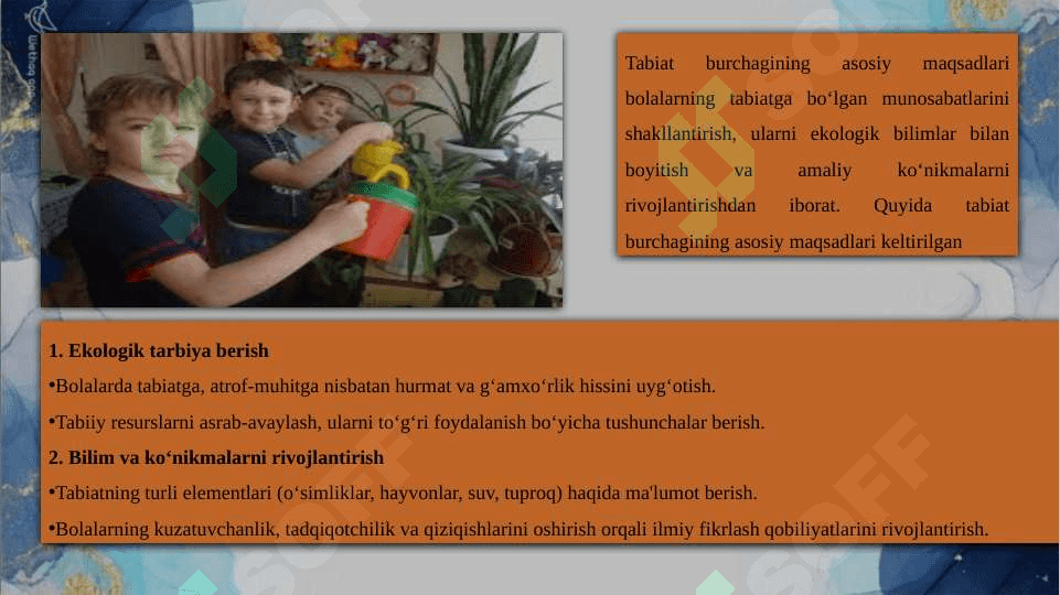 Kichik guruhda tabiat burchagi va uning mohiyati 3