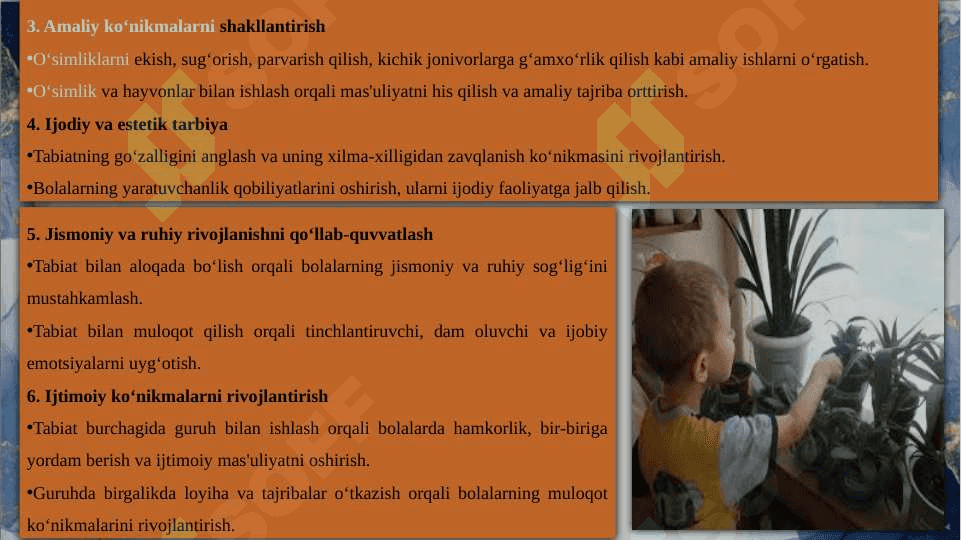 Kichik guruhda tabiat burchagi va uning mohiyati 4