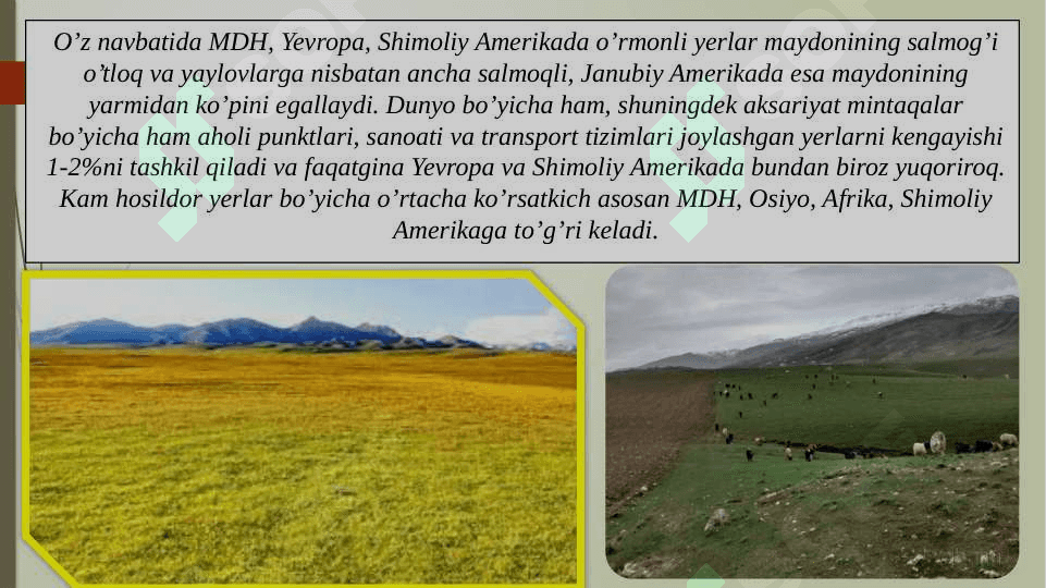 Jahon yer fondi 7