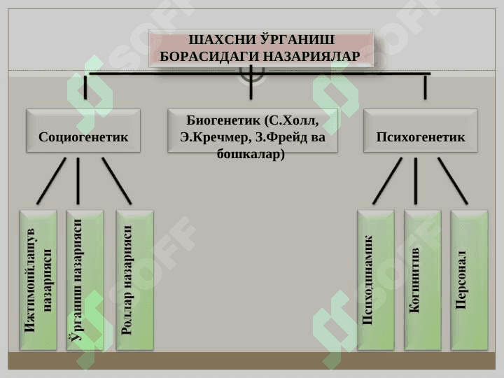 Шахс 6