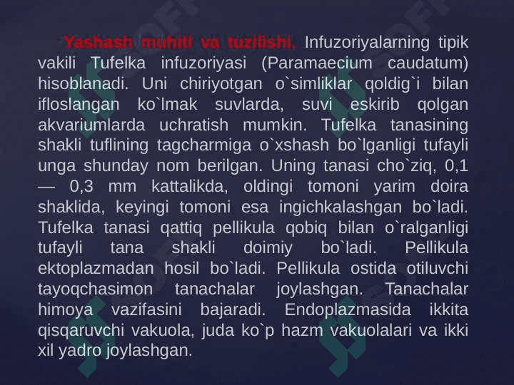 Infuzoriyalar tipi 5