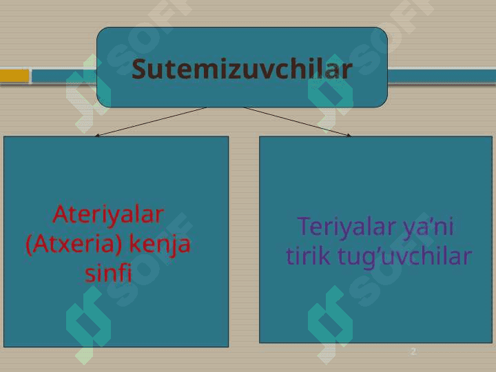 Sutemizuvchilar 2