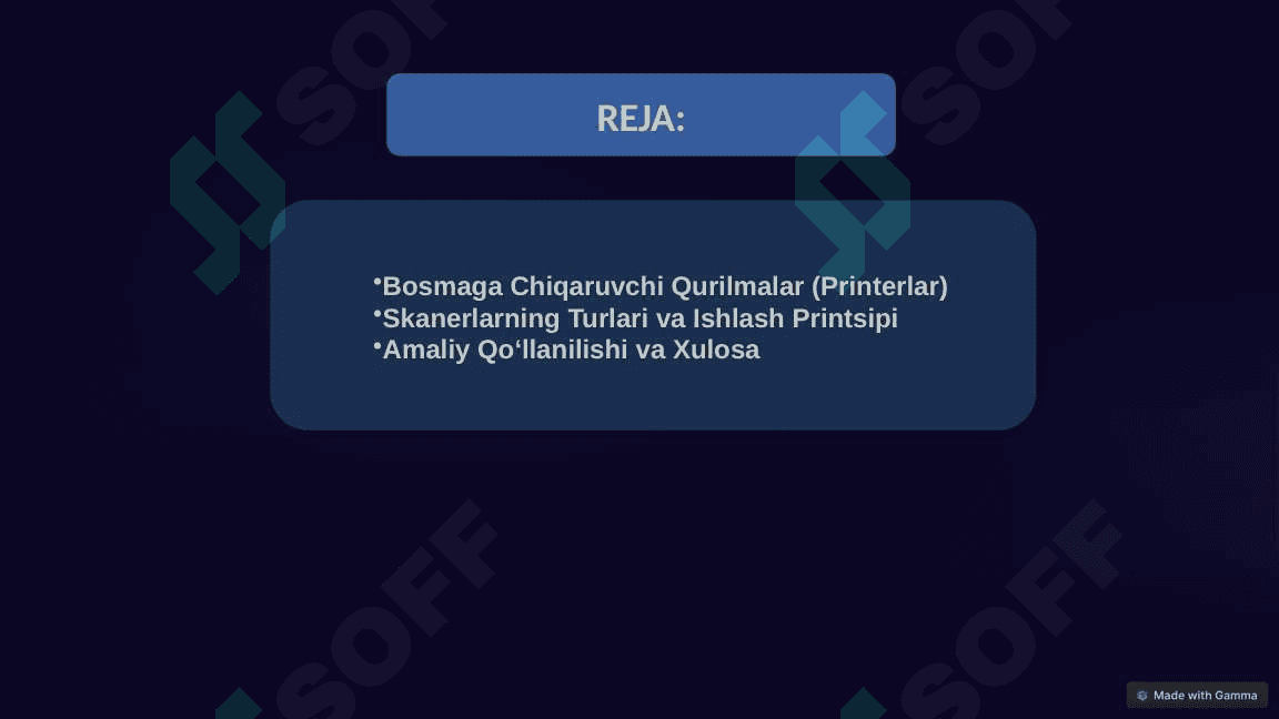 Axborotni Bosmaga Chiqaruvchi Qurilmalar va Skanerlar 2
