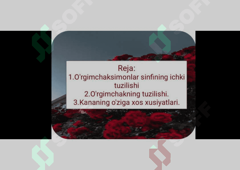 Xelitseralilar tipi 4