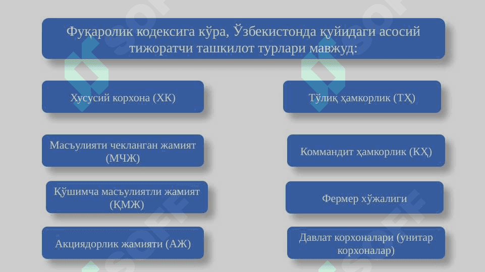 Тижоратчи юридик шахслар 8