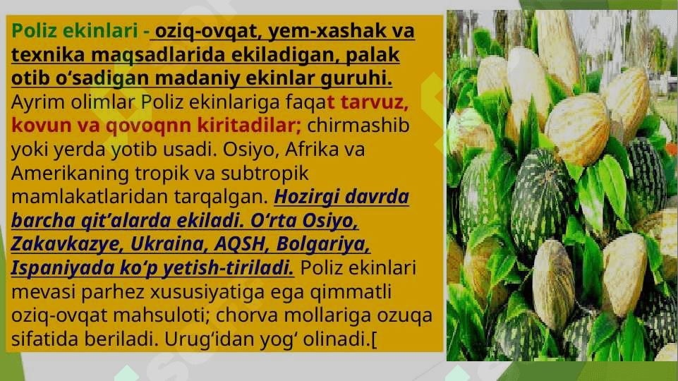 Poliz ekinlarini yetishtirish 2