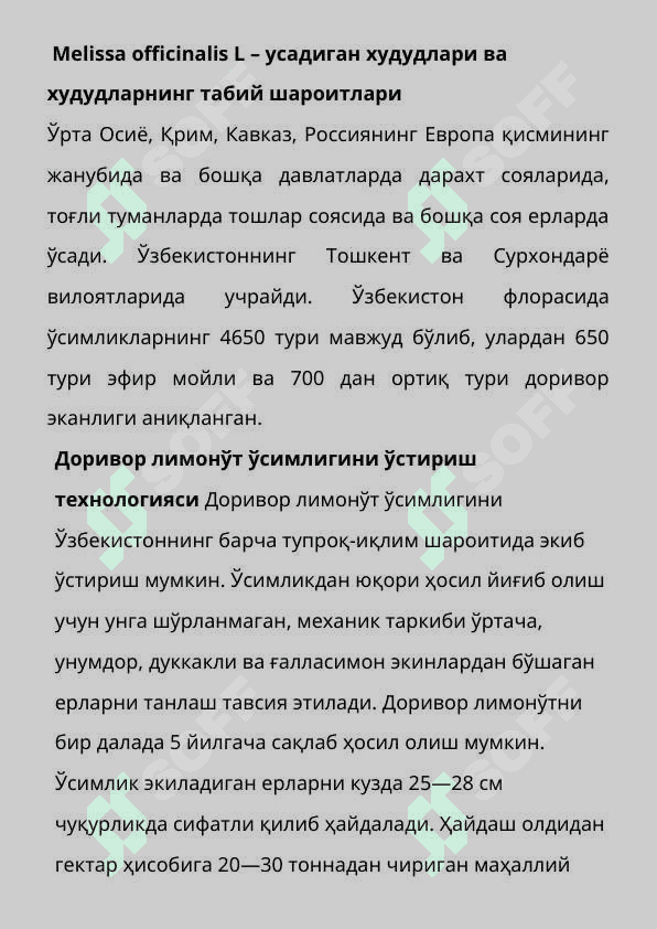 Тошкент вохасида доривор лимон ут- Melissa Officinalis L  усимлигини етиштириш техналогияси 4