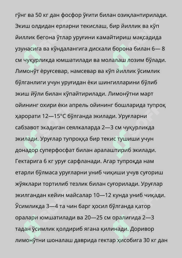 Тошкент вохасида доривор лимон ут- Melissa Officinalis L  усимлигини етиштириш техналогияси 5