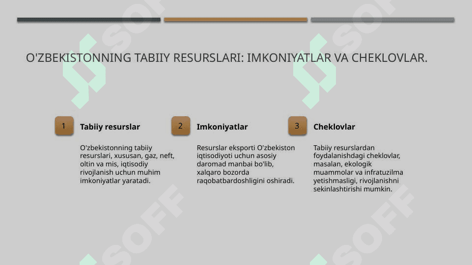 O’zbekistonning Iqtisodiy salohiyatini aniqlash 8