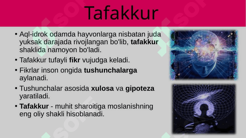Aql-idrok, tafakkur, so‘z va nutq 6