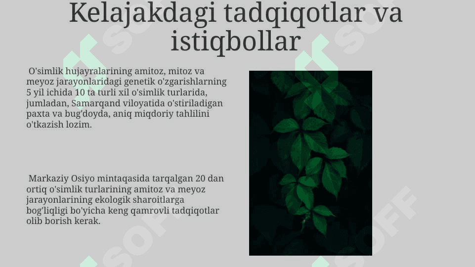 Gulli o'simliklar olamida amitoz mitoz va meyozning ahamiyati 8