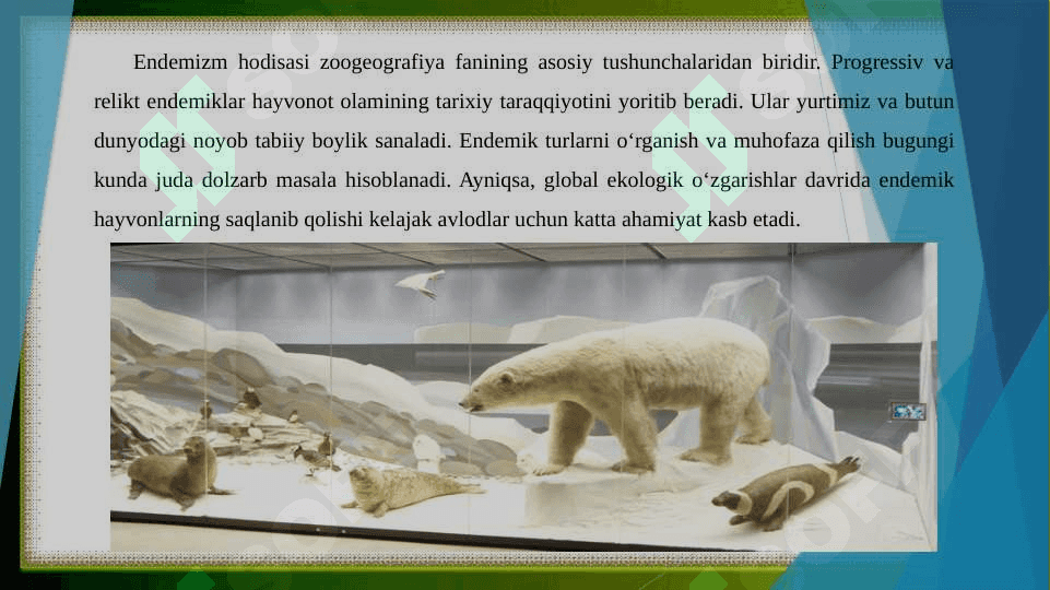 Endemizm, progressiv (noendemik) va relikt (paleoendemik) endemiklar 2